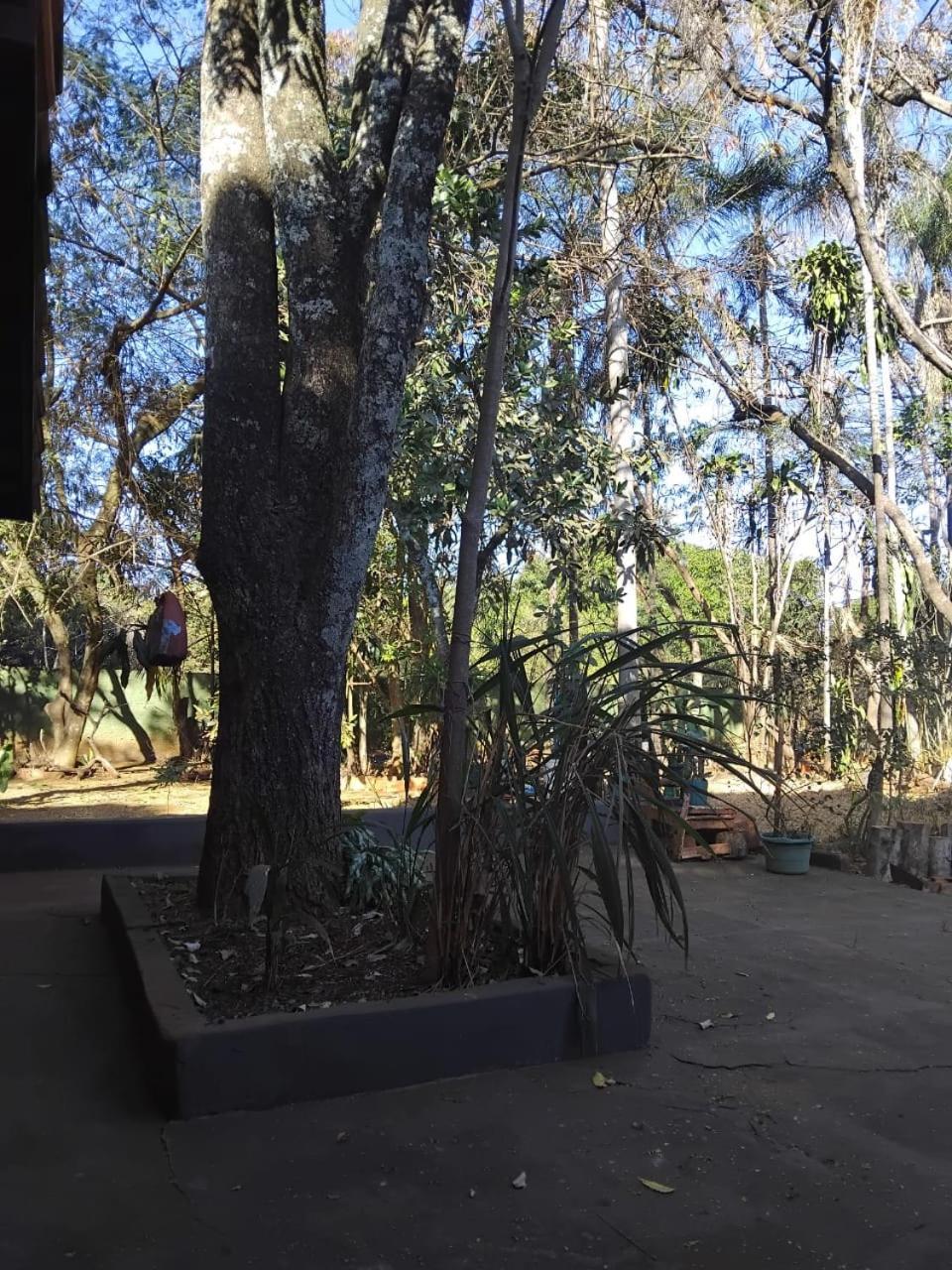 Sitio Bemtevi - Jockey Camping - Uberlandia Villa Exterior foto